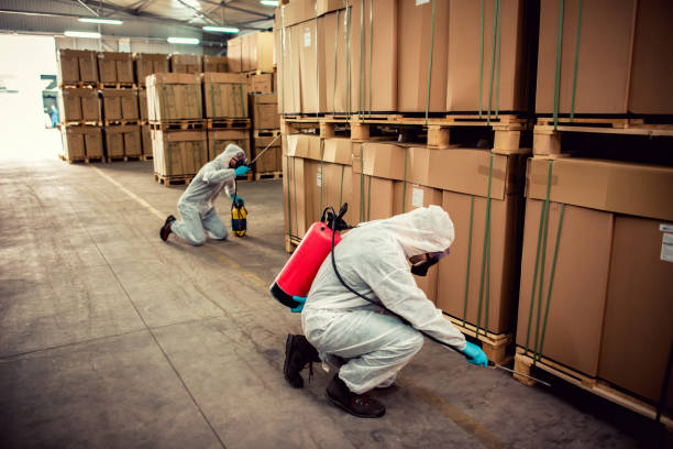Best Affordable Pest Control Services  in Stanton, NE