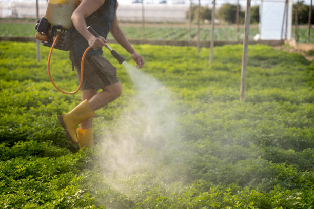 Best Pest Inspection Near Me  in Stanton, NE