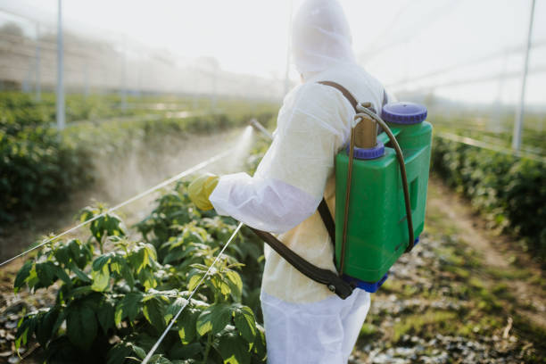 Best Residential Pest Control  in Stanton, NE